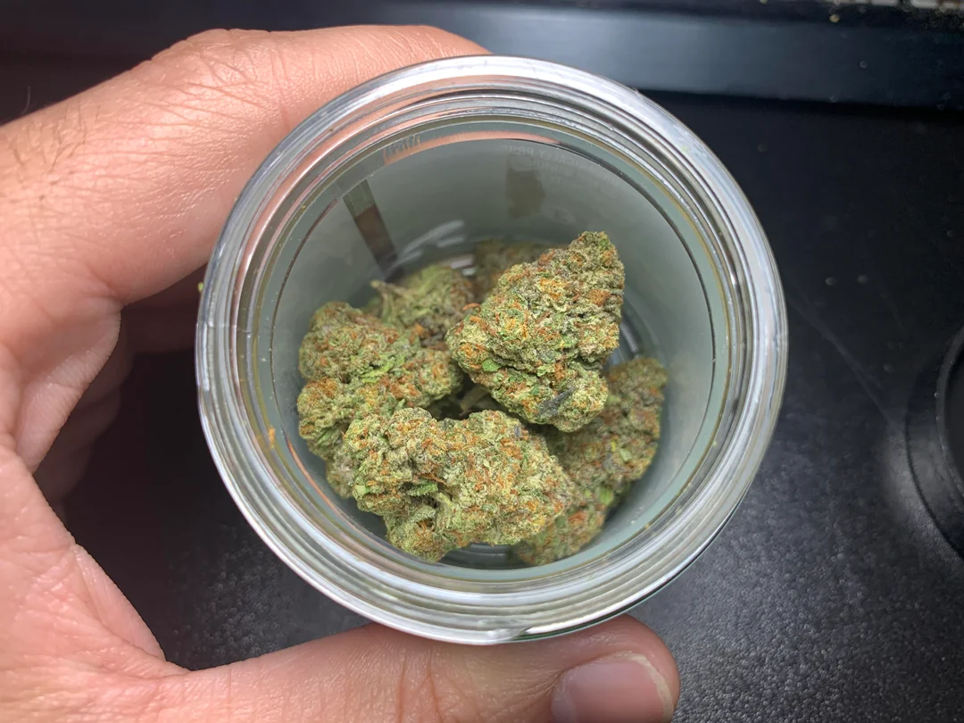 CBD Blog: Guides, Advice & News