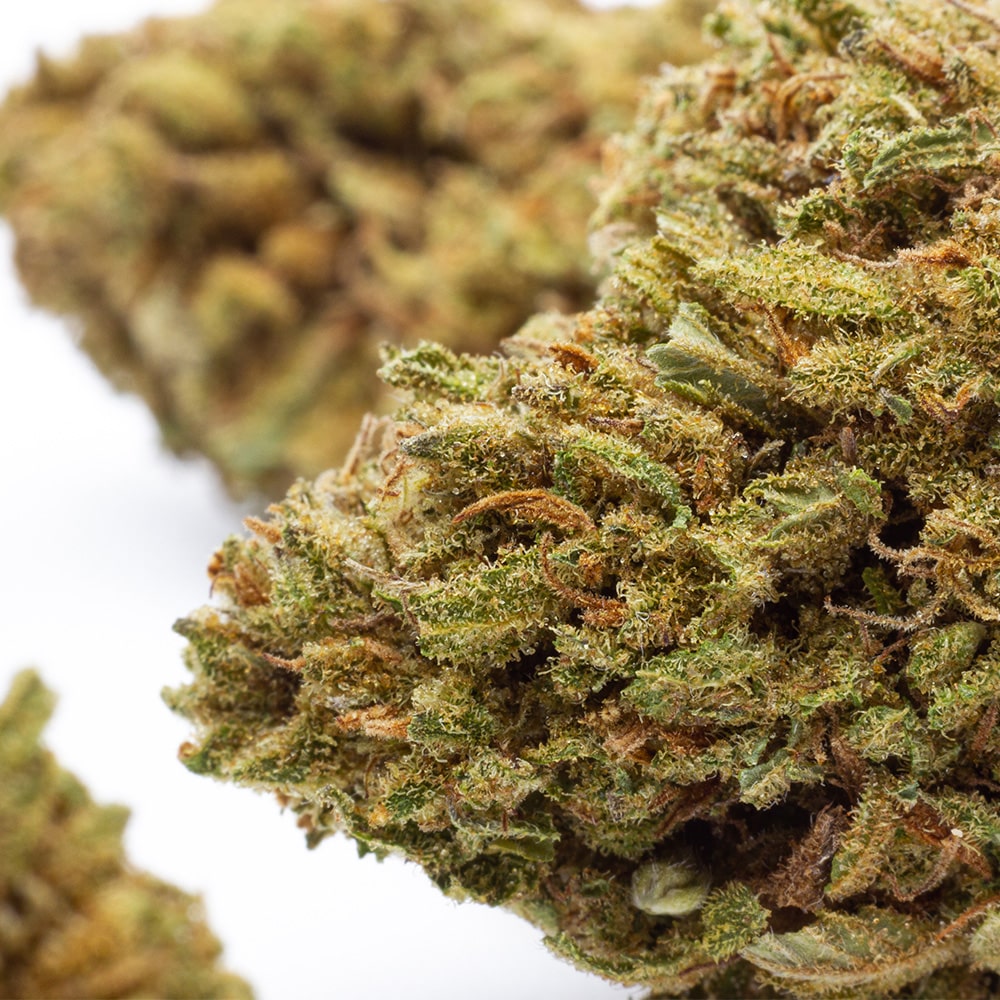 Junky Milk CBD Paradise Farms CBD