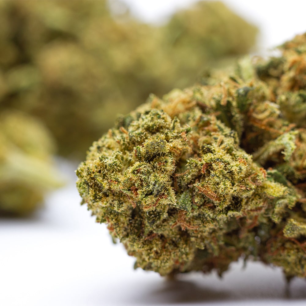 Paradise Farms CBD Zushi Kush CBD